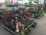 OBI Markt Borna - OBI Gartencenter Borna