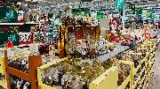 OBI Markt Breisach - GALLERY