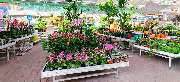 OBI Markt Breisach - GALLERY