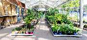 OBI Markt Breisach - GALLERY