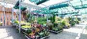 OBI Markt Breisach - GALLERY