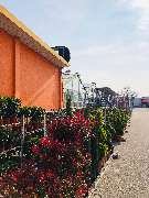 OBI Markt Breisach - OBI Holzzuschnitt-Service Breisach