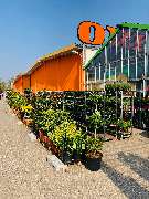 OBI Markt Breisach - OBI Holzzuschnitt-Service Breisach