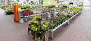 OBI Markt Brilon - OBI Gartencenter Brilon
