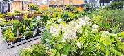 OBI Markt Brilon - OBI Gartencenter Brilon