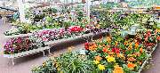 OBI Markt Brilon - OBI Gartencenter Brilon