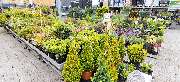 OBI Markt Brilon - OBI Gartencenter Brilon