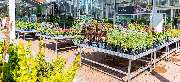 OBI Markt Buchen - OBI Gartencenter Buchen