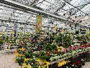 OBI Markt Buchholz - Der Frühling ist da!