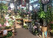 OBI Markt Buchholz - Inspiration für Grünpflanzen, Innendeko uvm. finden Sie in unserem Gartencenter