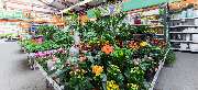 OBI Markt Burscheid - OBI Gartencenter Burscheid