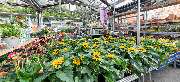OBI Markt Burscheid - OBI Gartencenter Burscheid