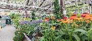 OBI Markt Burscheid - OBI Gartencenter Burscheid