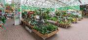 OBI Markt Celle - OBI Gartencenter Celle