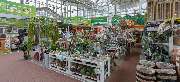 OBI Markt Celle - OBI Gartencenter Celle