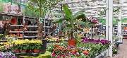 OBI Markt Celle - OBI Gartencenter Celle