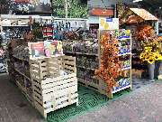 OBI Markt Cham - Blumenzwiebel