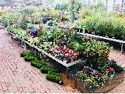 OBI Markt Cham - Garten Freigelände