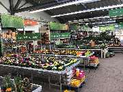 OBI Markt Cham - Gartenkalthalle