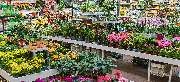 OBI Markt Cham - OBI Gartencenter Cham
