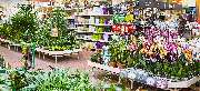 OBI Markt Cham - OBI Gartencenter Cham