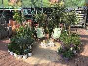 OBI Markt Cham - Sommeraufbau