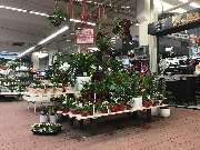OBI Markt Cham - Valentinstag