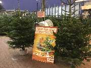 OBI Markt Cham - Weihnachtsbäume