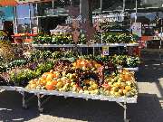 OBI Markt Cham - Zierkürbisse