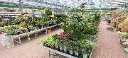 OBI Markt Cloppenburg - OBI Gartencenter Cloppenburg