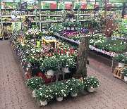 OBI Markt Coburg - Gartenparadies OBI Coburg