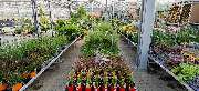 OBI Markt Coburg - OBI Gartencenter Coburg