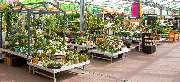 OBI Markt Cottbus - OBI Lampen- & Leuchtenstudio Cottbus