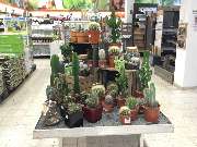 OBI Markt Crailsheim - OBI Markt-Eingang Crailsheim