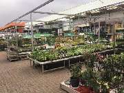 OBI Markt Crailsheim - Philips HUE System