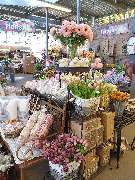 OBI Markt Dachau - OBI Dachau Floristik