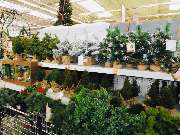 OBI Markt Delbrück - OBI Delbrück Weihnachtsmarkt 2019