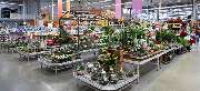 OBI Markt Delbrück - OBI Gartencenter Delbrück