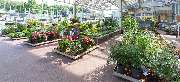 OBI Markt Delmenhorst - OBI Gartencenter Delmenhorst