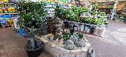 OBI Markt Detmold - OBI Gartencenter Detmold