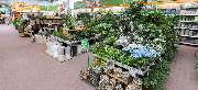 OBI Markt Detmold - OBI Gartencenter Detmold