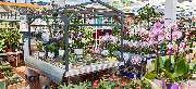 OBI Markt Dingolfing - OBI Gartencenter Dingolfing