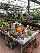 OBI Markt Dreieich - OBI Eingang Dreieich