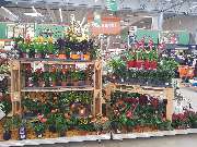 OBI Markt Dresden - OBI Dresden Gartencenter