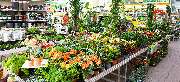OBI Markt Dresden Weißig - OBI Gartencenter Dresden Weißig