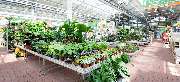 OBI Markt Düsseldorf Heerdt - OBI Gartencenter Düsseldorf Heerdt