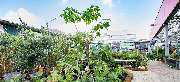 OBI Markt Düsseldorf Heerdt - OBI Gartencenter Düsseldorf Heerdt