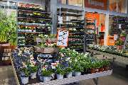 OBI Markt Düsseldorf-Rath - Haupteingang