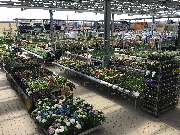 OBI Markt Ebersbach - Gartenfreifläche