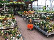 OBI Markt Ebersbach - Kalthalle Garten